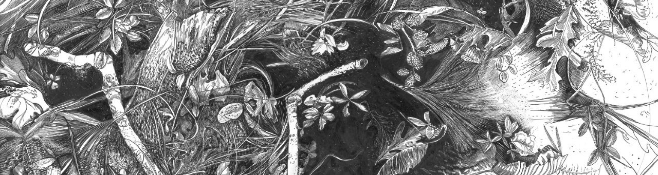 Black and White Ground Drawing 